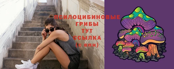 PSILOCYBIN Абинск