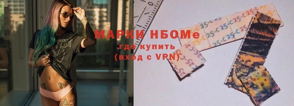 apvp Алзамай