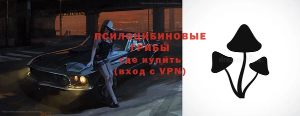 PSILOCYBIN Абинск