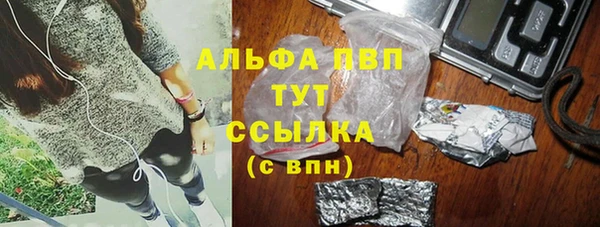 apvp Алзамай